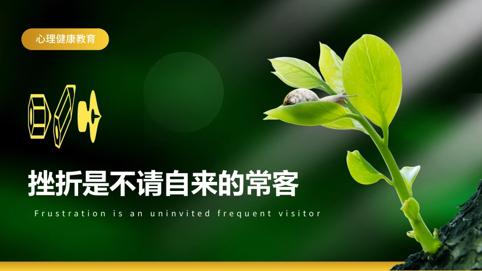 【中小学】【心理教育】主题班会:挫折试成长的必修课_第7页
