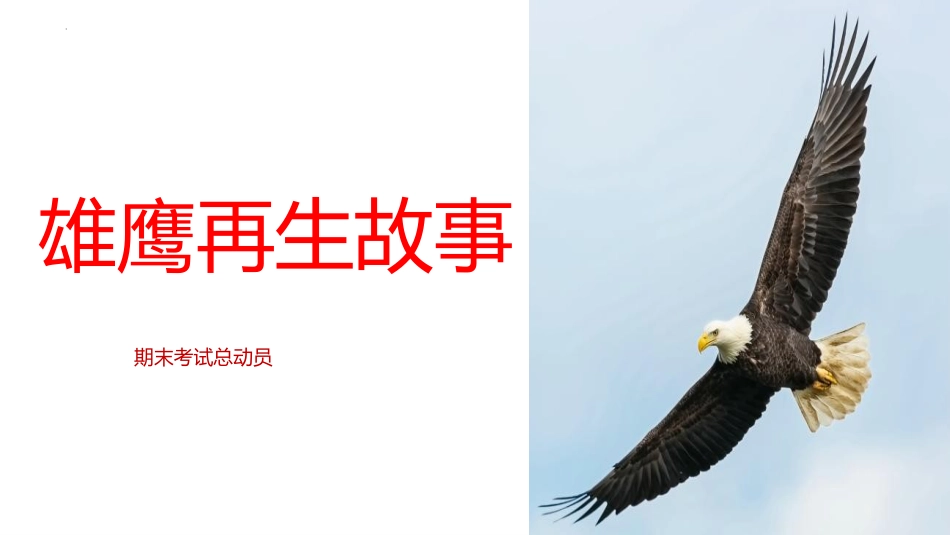 【通用】【期末动员】迎接期末考试动员会主题班会PPT_第10页
