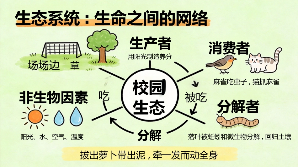 【初二】【八年级】【生物】秋季开学第一课主题班会_第8页