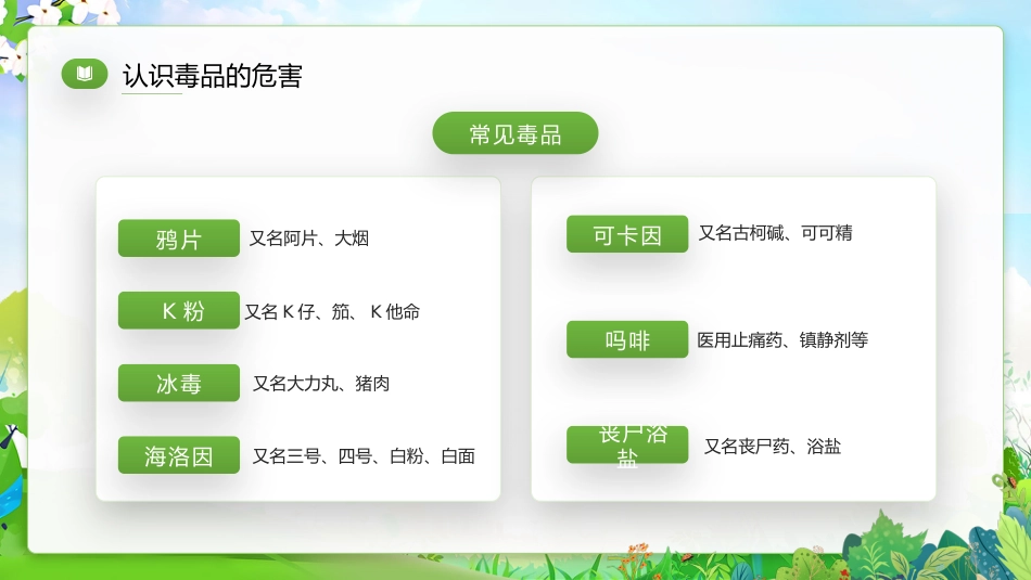 【通用】【禁毒宣传】主题班会:禁毒知识宣传_第8页
