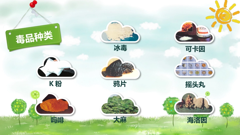 【通用】【禁毒教育】主题班会:《珍爱生命+远离毒品》_第7页
