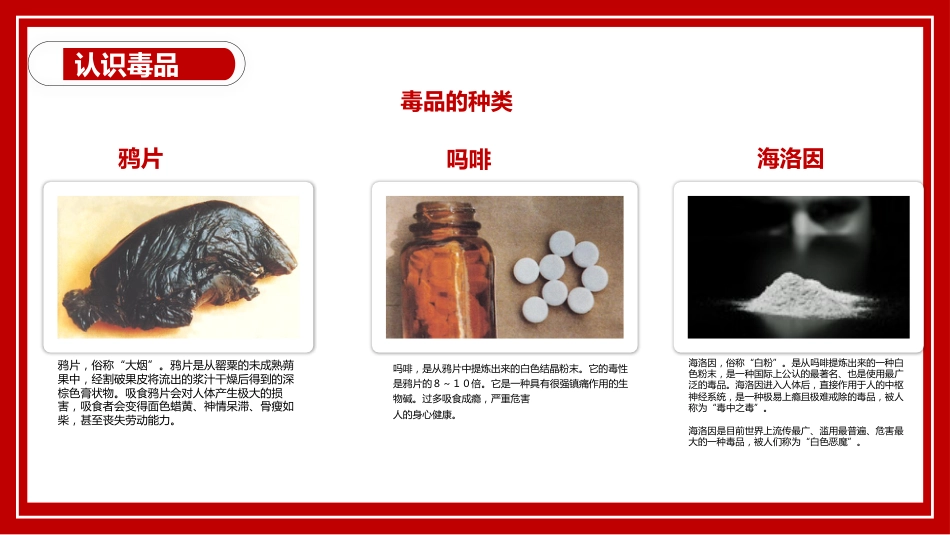 【通用】国际禁毒日主题班会:远离毒品,幸福人生_第5页