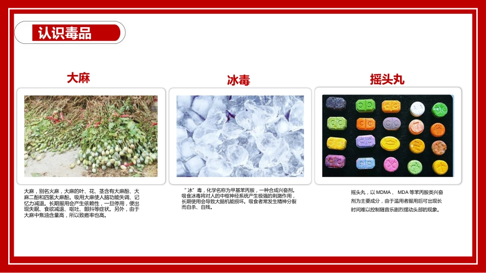 【通用】国际禁毒日主题班会:远离毒品,幸福人生_第6页