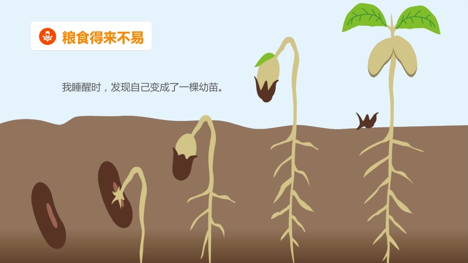 【中小学】【感恩教育】主题班会:节约粮食,爱惜粮食_第9页