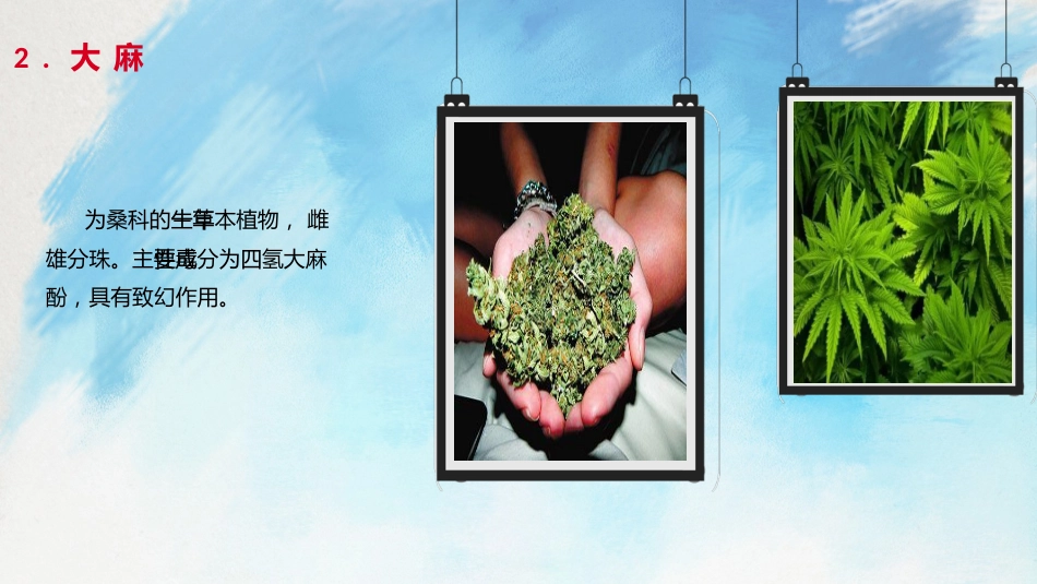 【通用】【禁毒教育】主题班会:国际禁毒日&禁毒教育2_第7页