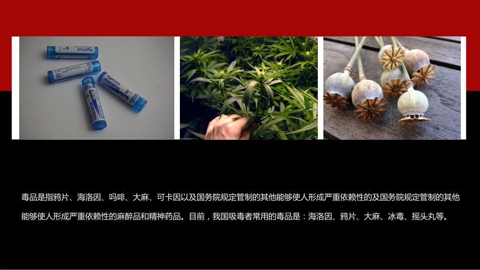 【通用】【626国际禁毒日】主题班会:禁毒知识宣传_第5页
