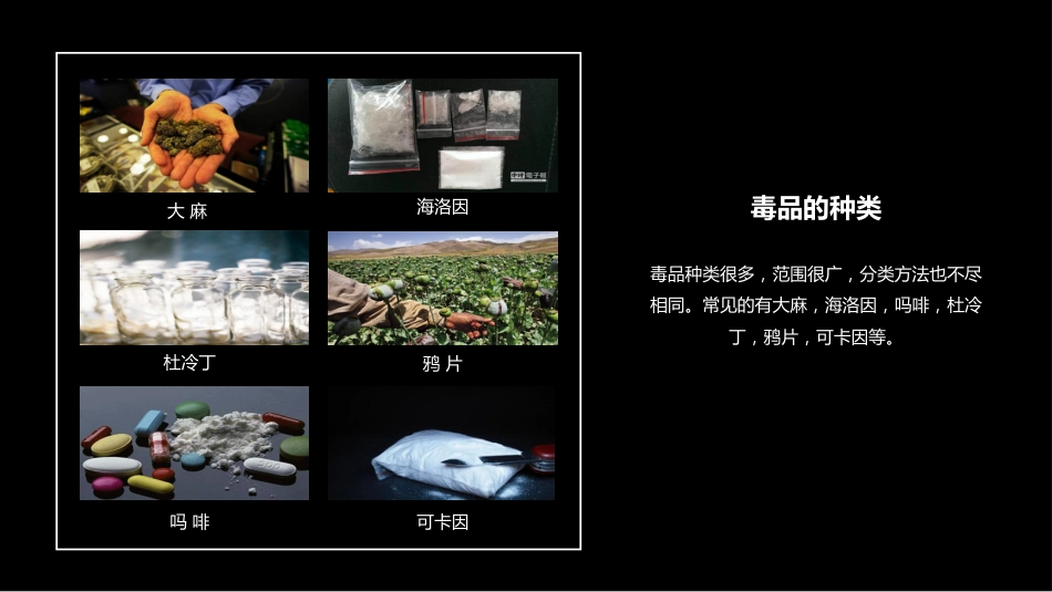 【通用】【626国际禁毒日】主题班会:禁毒知识宣传_第6页