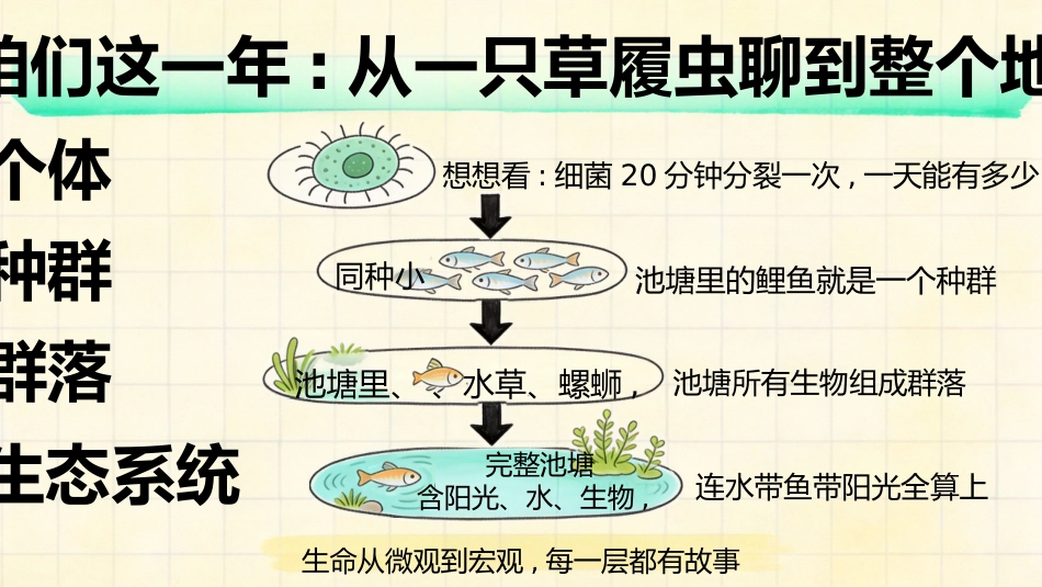 【高三】【生物】【秋季上】开学第一课_第2页