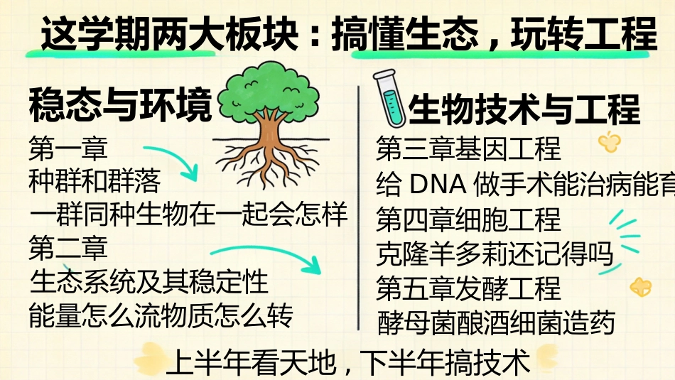 【高三】【生物】【秋季上】开学第一课_第4页