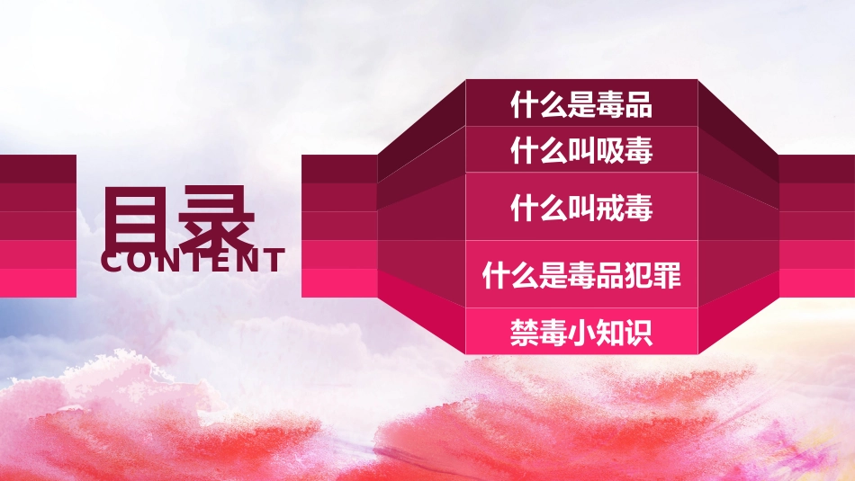 禁毒宣传教育PPT (7)_第2页