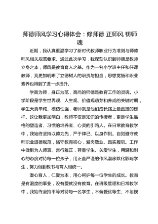 师德师风学习心得体会：修师德 正师风 铸师魂