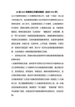 XX区2023年教育工作要点规划（全文9953字）