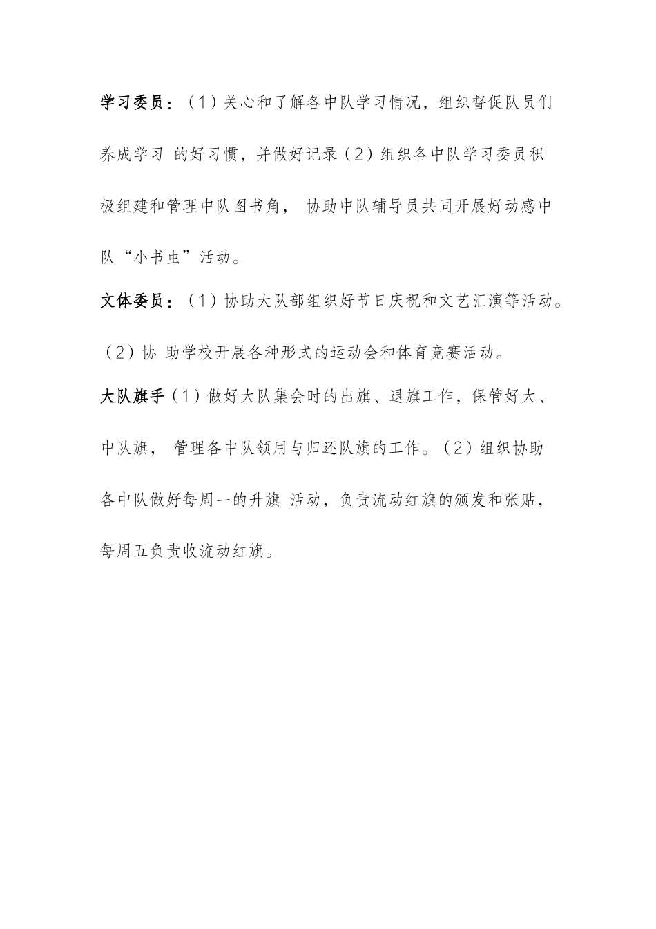 18少代会大队委员会委员职责_第2页