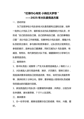 19少代会大队委竞选方案