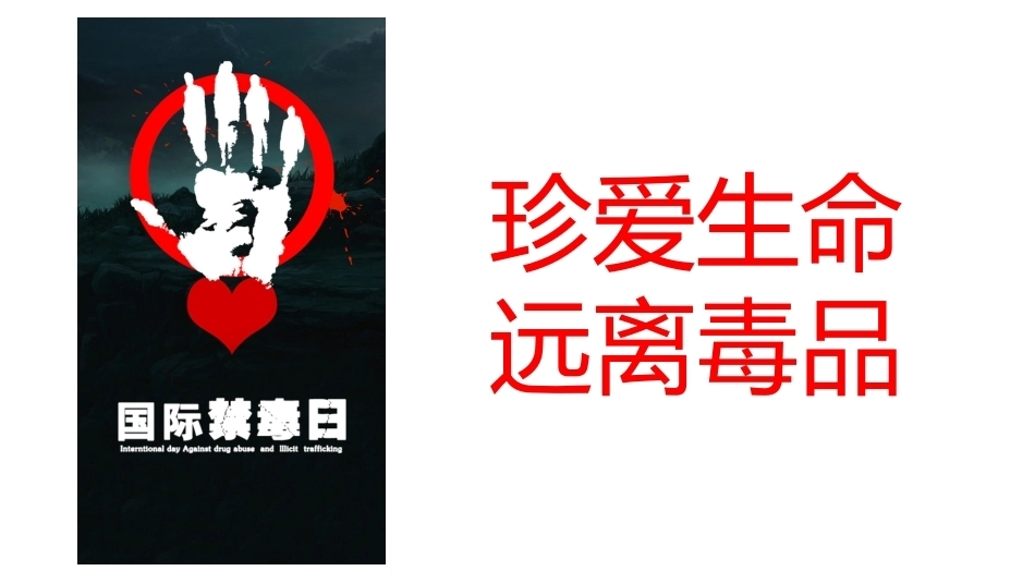 【通用】《预防毒品》【秋季】【安全】主题班会PPT_第3页