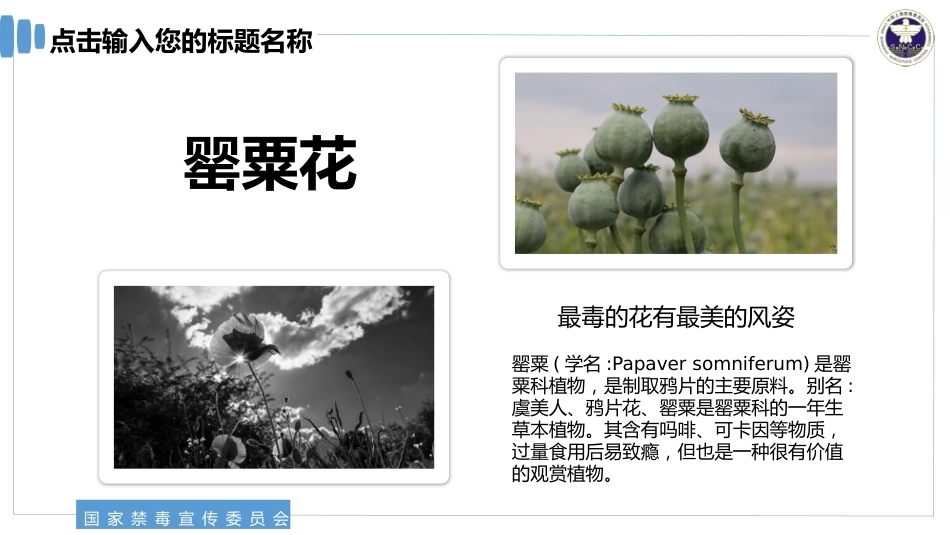 【通用】《预防毒品》【秋季】【安全】主题班会PPT_第6页
