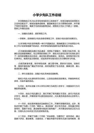 024-小学少先队工作总结