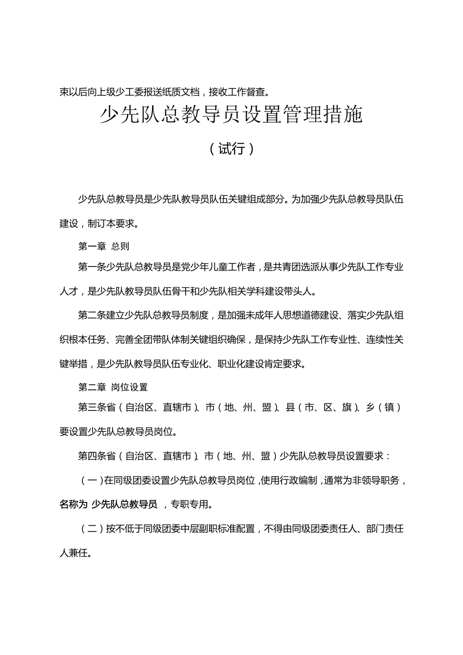 少先队总辅导员工作手册模板_第2页