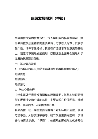 班级发展规划（中级）