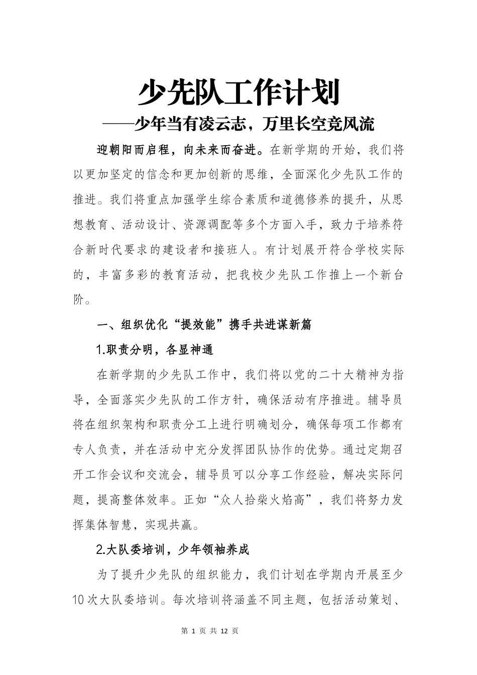 2024-2025年少先队计划_第1页