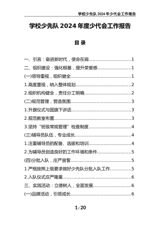 2024年学校大队辅导员少代会工作报告