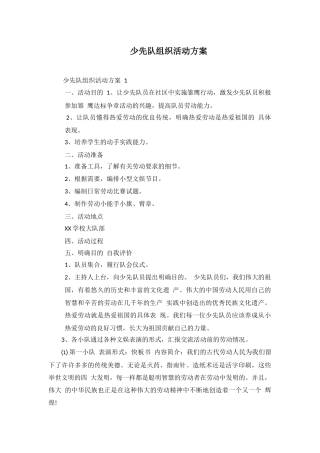 少先队组织活动方案
