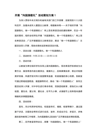 142-“向国旗敬礼”活动策划方案 4篇