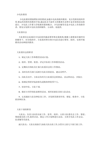 少先队管理制度