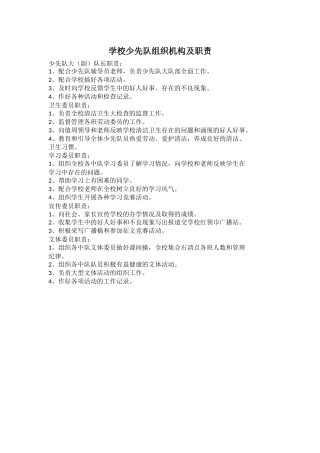 学校少先队组织机构及职责