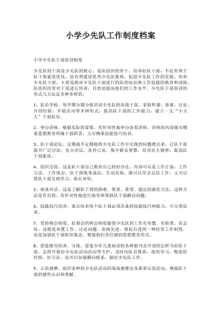 小学少先队工作制度档案