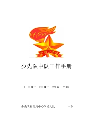 少先队中队工作手册