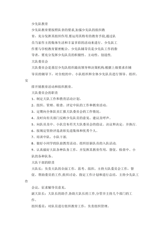 少先队管理制度(3)