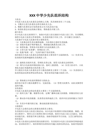 XXX中学少先队组织结构