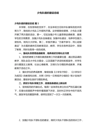 少先队组织建设总结