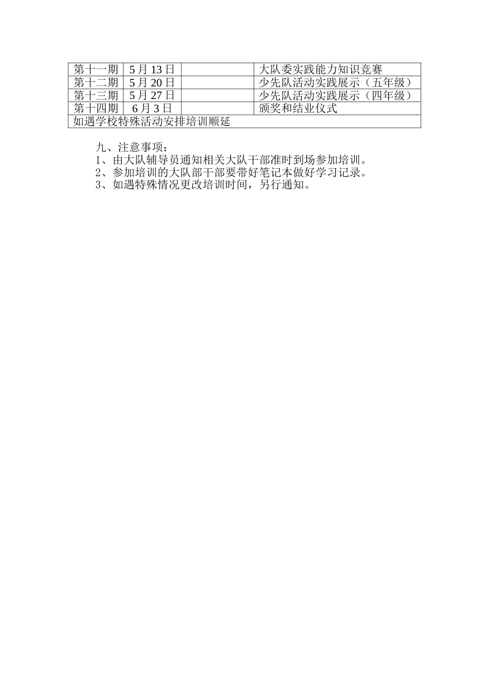 少先队大队干部培训方案_第2页