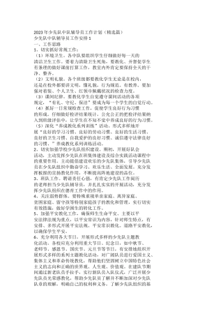 2023年少先队中队辅导员工作计划