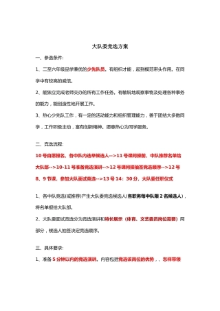 大队委竞选方案（精简）