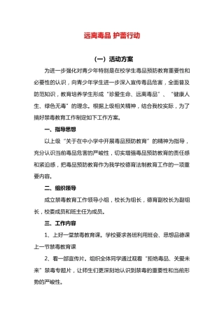 远离毒品 护蕾行动 活动方案 演讲稿 总结 (2)
