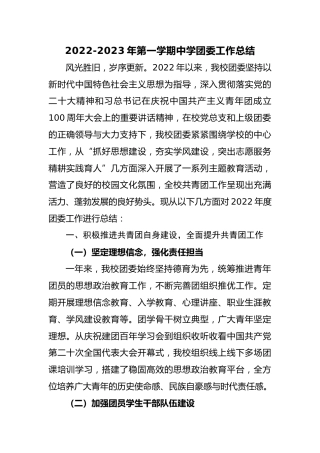 2022-2023年中学团委工作总结(2)